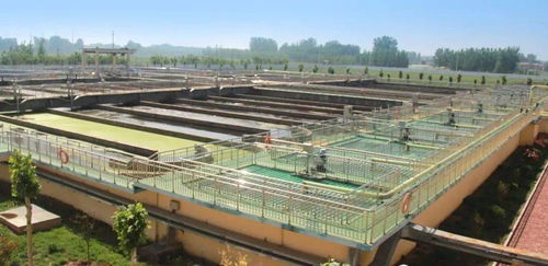 走進臨清污水處理廠 探秘污水“變清”的神奇旅程